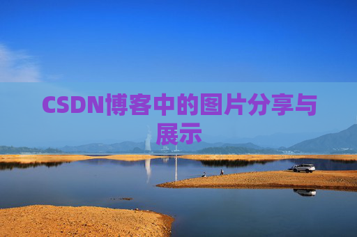 CSDN博客中的图片分享与展示